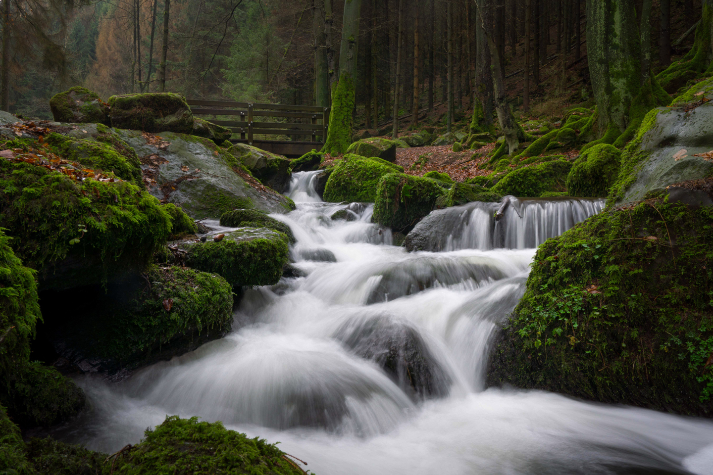 Teutoburger Wald Kalender