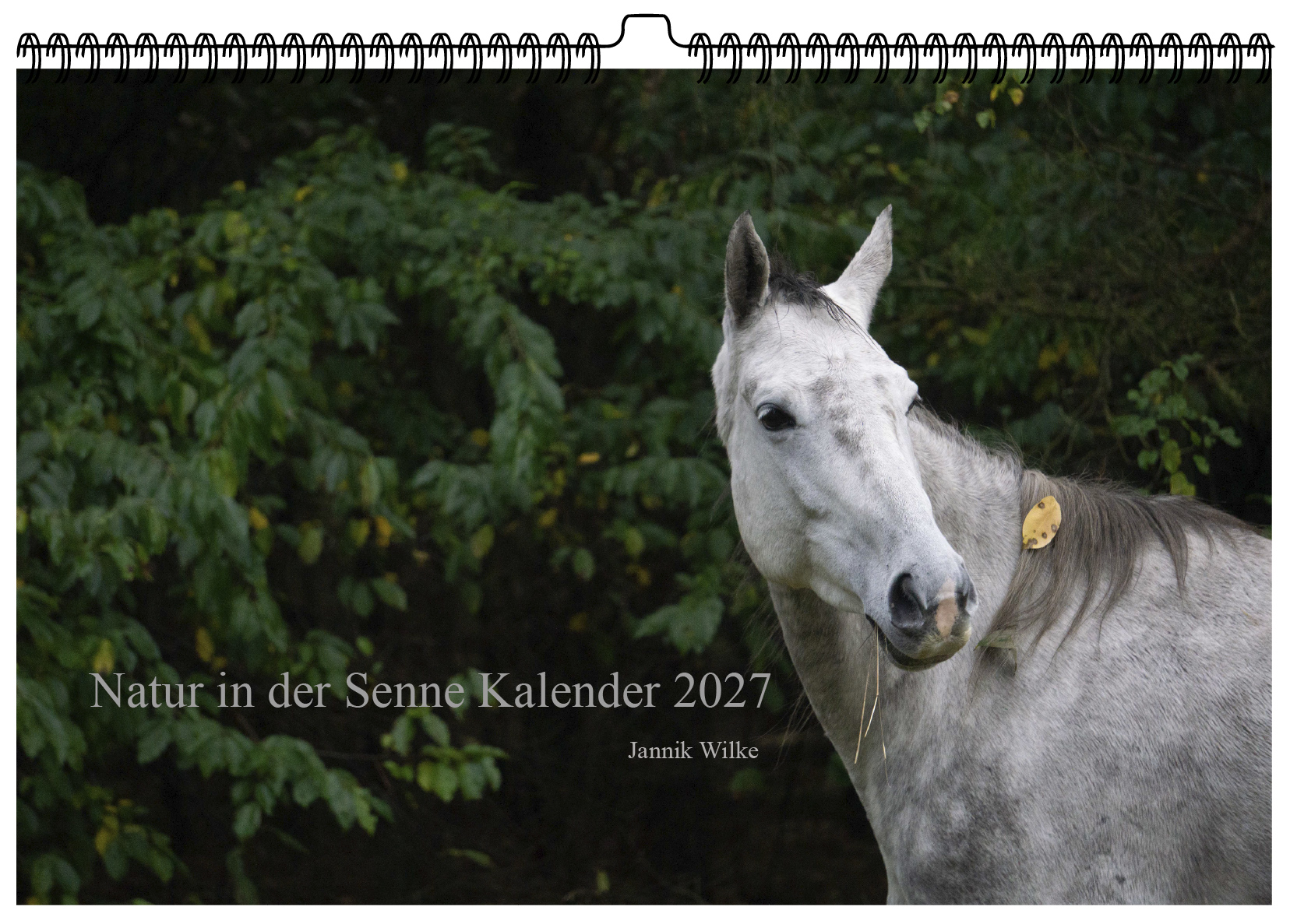 Natur in der Senne Kalender