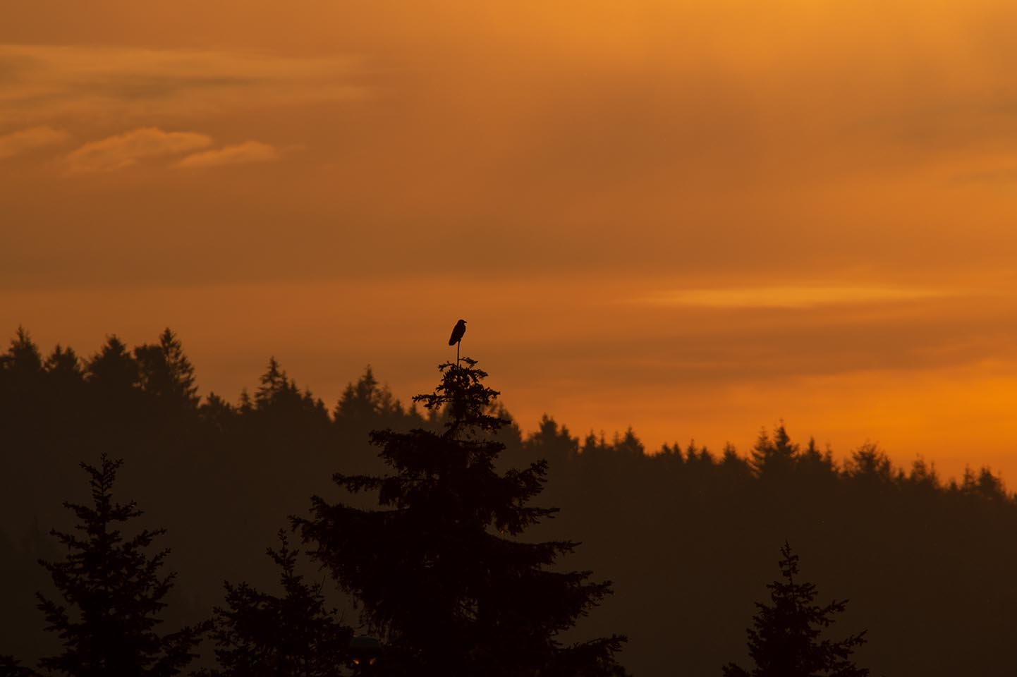 Teutoburger Wald Kalender